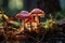 A group of orange mushrooms glowing in the sun\\\'s rays on moss against a blurred forest background. Generated by artificial