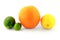 Group Organic Citrus Fruits - Lemon, Orange, Lime and Key Lime,