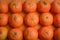 Group of organic tangerines lined up on an orange paper background