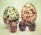 Group of ornate Easter eggs in white background in vintage color