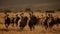 A group of ostriches running across the plain created with Generative AI