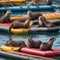 A group of otters floating down a river on colorful rafts, clinking their shells together for a midnight toast1