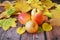 Group Pears and apples with autumn leaves on wooden background, closeup, top view, autumn harvest concept