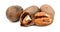 Group of pecan nuts.