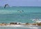 Group of pelicans flying in Tropical paradise