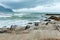 Group of penguin walk on the beach