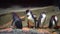 A group of penguins in the aquarium. Adventure Aquarium, Camden, New Jersey, USA