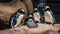 A group of penguins standing next to a cell phone. Generative AI image.