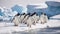 Group of penguins stood on snowy landscape of Antarctica. Generative AI