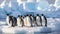 Group of penguins stood on snowy landscape of Antarctica. Generative AI
