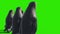 Group of Penguins Walks Green Screen Back 3D Rendering Animation 4K