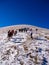 A group of people climb the top of Mount Goverlain early spring. Clear weather and white snow. Carpathians, Goverla, Ukraine