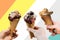 A group of people or friends holding ice cream in their hands on a multicolored background. Creative idea of a holiday