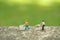 Group of people go to shopping with maintain their physical distance. Miniature people figurines toys conceptual photography