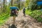 A group of people goes hiking with backpacks in forest