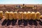 Group of people  harvested potatoes and bagged