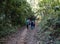 A group of people hike from Kalaw to Inle Lake, Myanmar