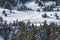 Group of people hiking on snow in mountains. Huskey sleigh ride, Andorra