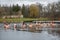 Group of people ice bathing together in the cold water of a lake in Preili, Latvia