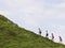 Group of people jogging up hillside