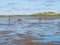 Group of people mudflat hiking on Waddensea at low tide from Friesland to West Frisian island Ameland, Netherlands