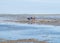 Group of people mudflat hiking on Waddensea at low tide from Friesland to West Frisian island Ameland, Netherlands