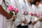 Group of people offering rose flower expressing the condolence for respecting the lost of love one during mourning ceremony in fun