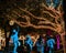 Group of people in a park illuminated by festive lights strung up in the trees in Putrajaya