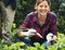 Group of people planting vegetable in greenhouse