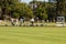 Group of People Play Lawn Bowling in Balboa Park
