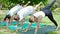 Group of people training yoga stretching legs at park