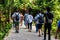 Group of people walking along a scenic pathway surrounded by lush tall trees