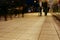 A group of people walking along the sidewalk promenade long exposure at night