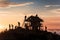 A group of people working on top of a house roof and placing tiles. Sunset backlight. People silhouettes