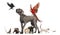 Group of pets - Dog, cat, bird, reptile, rabbit