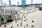 Group of pigeon at pier in city