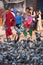 A group of pigeons early in the morning at the Boudhanath Stupa