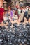 A group of pigeons early in the morning at the Boudhanath Stupa