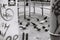 a group of pigeons gathered around a street pole in an urban setting, searching for food