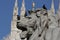 Group of Pigeons on The marvellous lion statue at Piazza Duomo of Milano Italy, dirty from bird pooping shit