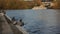 A group of pigeons sat at a riverbed