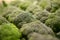 group of pile Broccoli display background in fresh market