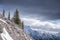 Group of pine trees high on mountain peak with rugged mountain r