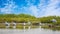 The group of Pink-backed Pelicans or Pelecanus rufescens is resting on the surface in the sea lagoon in Africa, Senegal. It is a