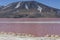 Group of pink flamingos in the colorful water of Laguna Colorada, a popular stop on the Roadtrip to Uyuni Salf Flat, Bolivia