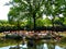 A group of pink flamingos at Shanghai wild animal park