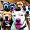 A group of Pitbull dogs take a selfie