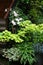 Group plants in the shadow garden place