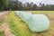 Group of plasticized hay bales in row