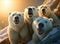 A group of polar bears